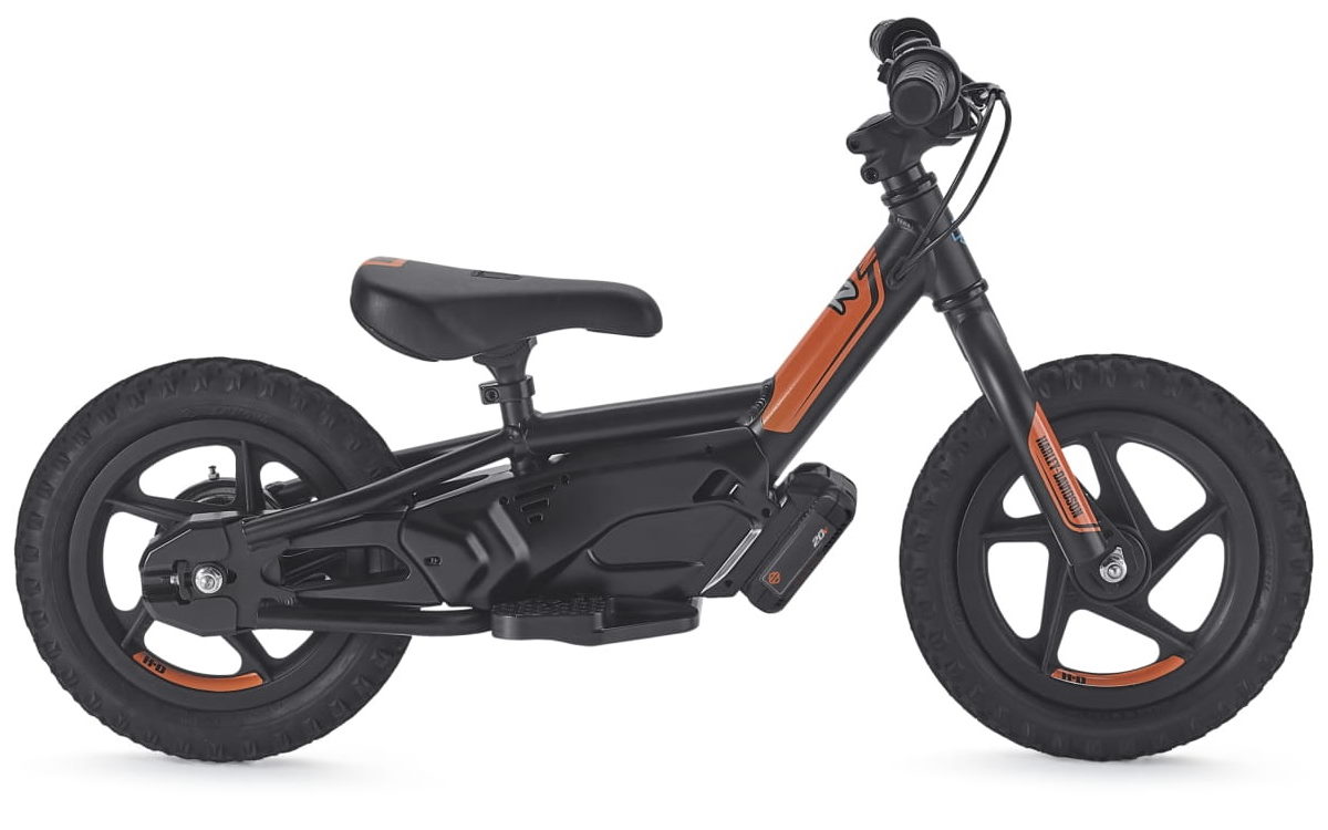 Harley davidson 20 top inch bicycle